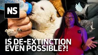 The TRUTH about de-extinction
