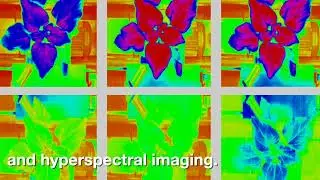 Advanced Plant Phenotyping Laboratory