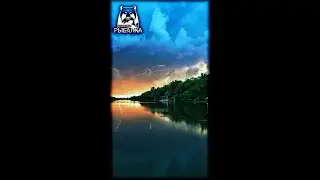 РР4. Прикорми носатого (vertical)
