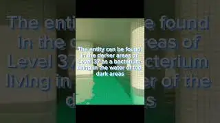 Level 37 'Sublimity' found footage