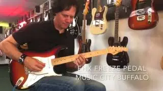 Electro-Harmonix FREEZE Sound Retainer Product Demo