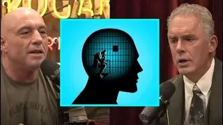 Джо Роган поражен словами Джордана Питерсона: &laquo;Вы НЕ должны чувствовать себя хорошо!&raquo;