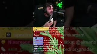 Elraenn | Kılıç alsaydın abi :D