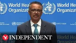 WHO boss promises independent evaluation of coronavirus response