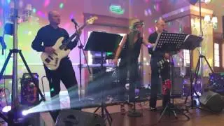 Led Wesselin - Wesele Agnieszki i Pawła