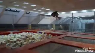 JumpTramp - веселый понедельник!!))