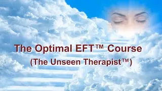 Overview of the Optimal EFT Course