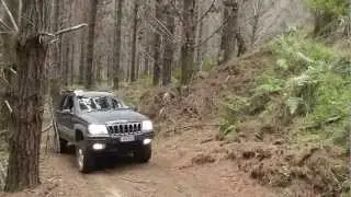Jeep Grand Cherokee WJ Quadra-Drive works well