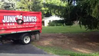 Tree Brush Disposal in Indianapolis