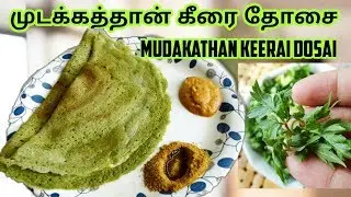 முடக்கத்தான் கீரை தோசை | BALOON VINE DOSA | MUDAKATHAN KEERAI DOSA | BREAKFAST DINNER | ORGANIC DOSA