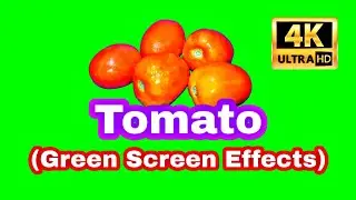Tomato (Green Screen Effects) 4K
