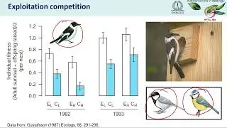 Lec 32 Competition