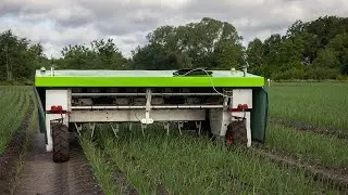 EKOBOT: ONKRUID WIEDEN in UIEN | Nationale Proeftuin Precisielandbouw