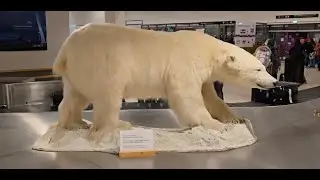Ep.7  Continui aventura fara MG ZS| Cel mai nordic aeroport comercial din lume| Welcome Svalbard🐻&zwj;❄️