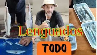 Hablemos de lenguados