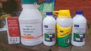 How to use veterinary Liv .52 || use UDRSTRONG -H || use Anabolite Mix || use Nurokind plus syrup