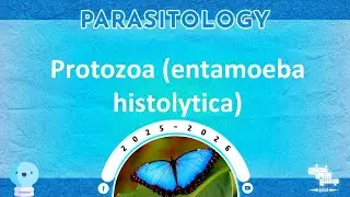 L5: Introduction to protozoa (entamoeba histolytica); Parasitology