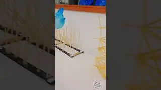 Canadian university Dubai summer camp activities #live #love #shortvideo #shorts #short #shortsfeed