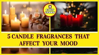5 Candle Fragrances That Affect Your Mood.It Helps You to Relieve Stress and Improve Your Mood.
