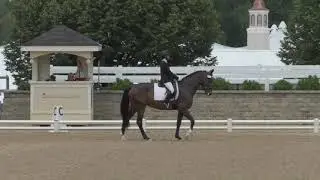 Abby Second Level test 3, 72.6%