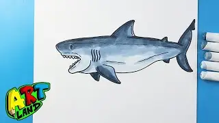 Как нарисовать акулу-быка 🦈