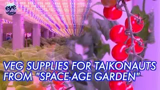 High-tech vegetable factory ensures healthy diet for Chinese astronauts in Space