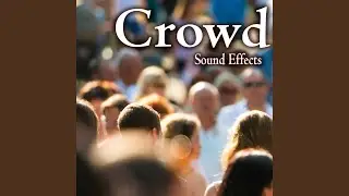 Active Crowd in Large Outdoor Pedestrian Mall with Voices, Footsteps and Distant Traffic