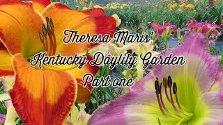 Theresa Maris' Kentucky Daylily Garden