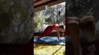 Postura del plano inclinado de costado - Yoga Wellness cl