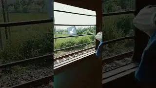 Rail line par Banda chal raha hai jab ki train cross kar rahi hai tab bhi had hai yaar #shorts