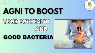 Agni to boost your Gut Health and good Bacteria #blissvedas #ayurveda #holistichealth