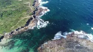 Boat Harbour, Sydney NSW Australia