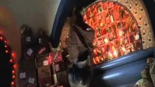 I Hate Christmas