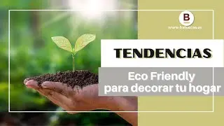 Tendencias Eco Friendly en decoraci&oacute;n para el hogar