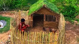 Secret Of Primitive: Building House Chicken​