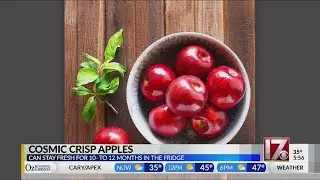 New apple variety that can last up to 1 year now on sale