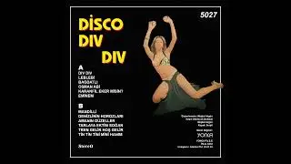 Disco Div Div (LP Plak Arka Kapak)