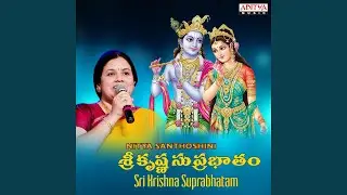 Sri Krishnaastakam