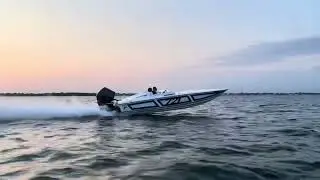 Progression P22 Rippin
