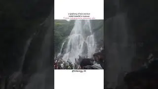 Amboli Waterfall, Sindhudurg, Maharashtra #amboliwaterfall #vishalogy_95 ##amboli #india #waterfall