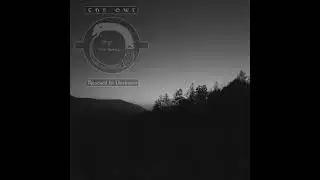 The Owl - Rescued In Darkness aNr155 #experimental #synth #ambient #musique #noise #underground