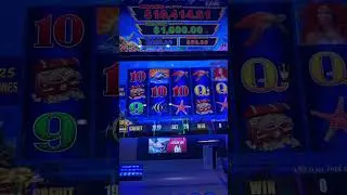 Live highlight Slot Play 1/29/26 #shorts #slot #live