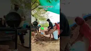 #vermicompost #shorts #shortsfeed #shortsvideo #shortsbeta #farming #agriculture #organic #training