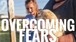 She's Afraid Of Chickens