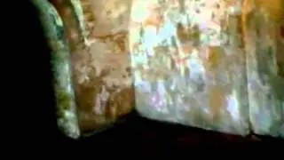 panophonic - venerar (official Video)