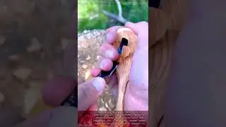 Making beautiful and sophisticated handmade wooden spoons || Mastered skills