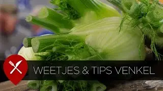 Weetjes & feitjes venkel