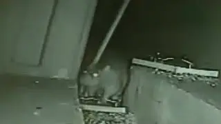 Neighbors concerned with rat problem in Southgate