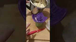 Recette int&eacute;grale de la compote pommes poires maison au thermomix