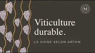Sustainable viticulture-The vine according to Arton
